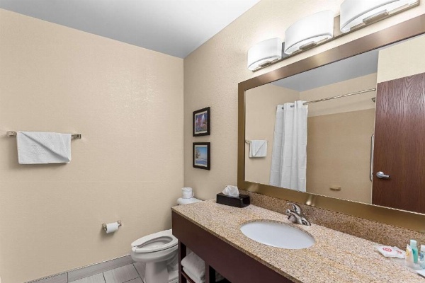 Comfort Suites Grayslake Near Libertyville North image 13